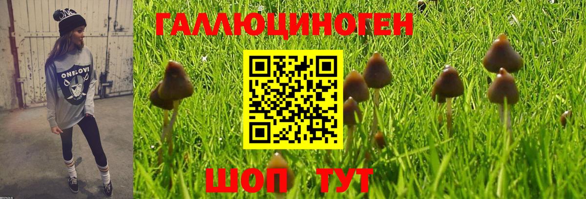 Псилоцибиновые грибы ЛСД  Вход с VPN  Галлюциногенные грибы Psilocybine cubensis  Гурьевск 