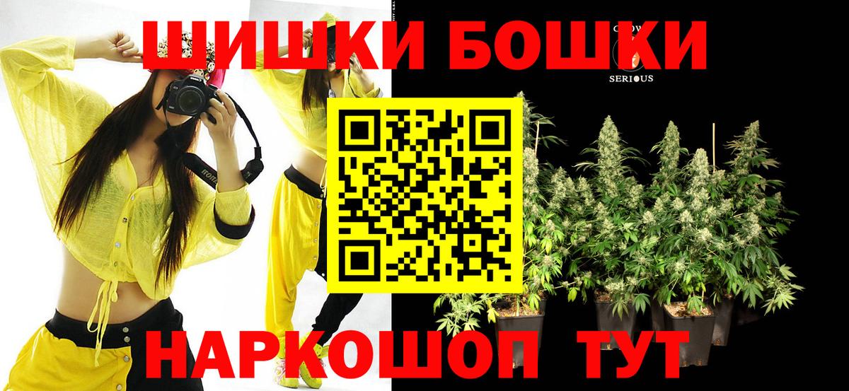 Бошки Шишки планчик Гурьевск